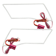 Load image into Gallery viewer, Photo - Primary
