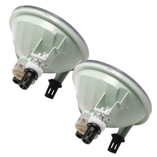 Load image into Gallery viewer, Photo - Close Up
