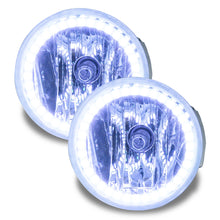 Load image into Gallery viewer, Photo - Primary
