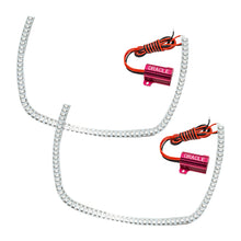 Load image into Gallery viewer, Photo - Primary
